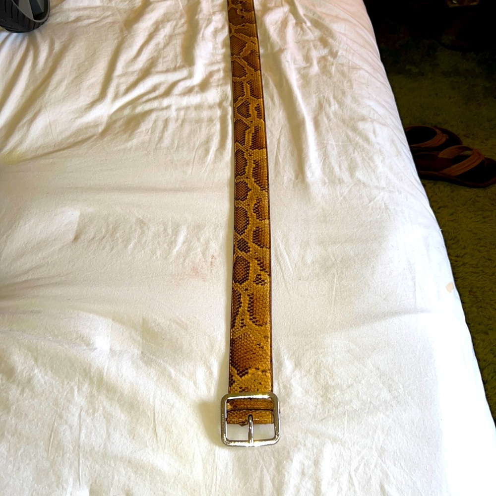 Gucci Python Belt - image 3